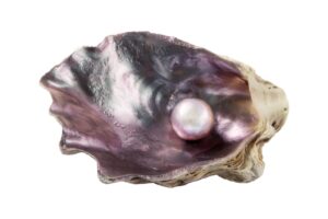 A pearl on a seashell