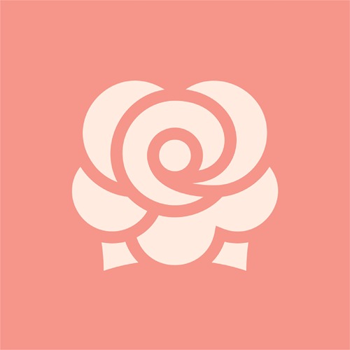 A Custom graphic Icon for Venus