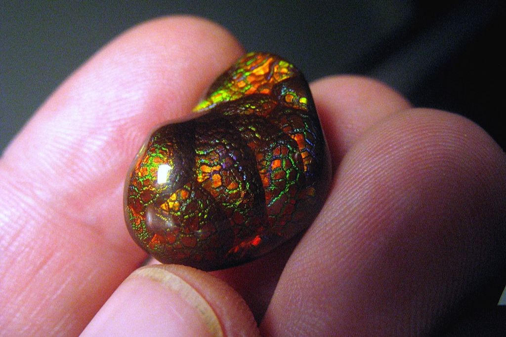 tip of the fingers holding a very small piece of crackled fire agate