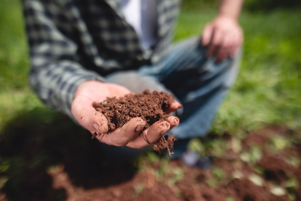 Soil in farmer's hand