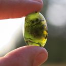 A person holding a Black Jade Aka Lemurian Jade on a white background under the sun