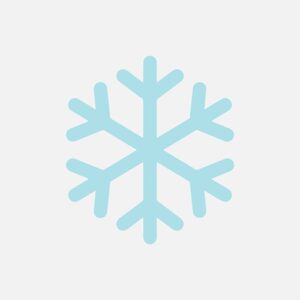 A custom graphic icon for Boreas