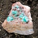 A Rosasite crystal on the soil