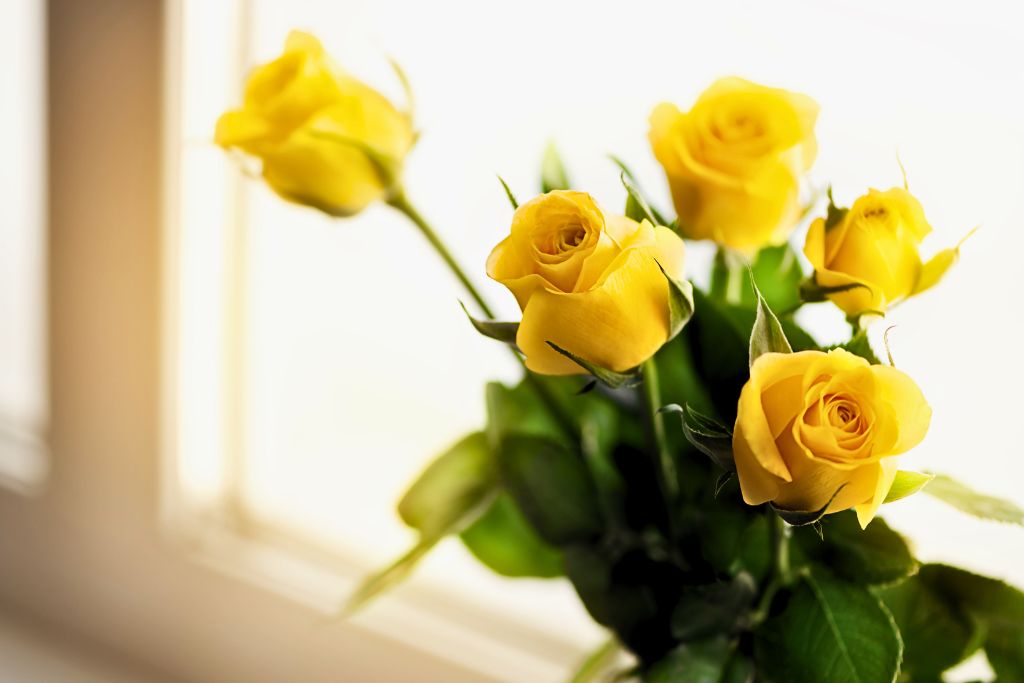 Yellow roses are placed as home decor near a window.