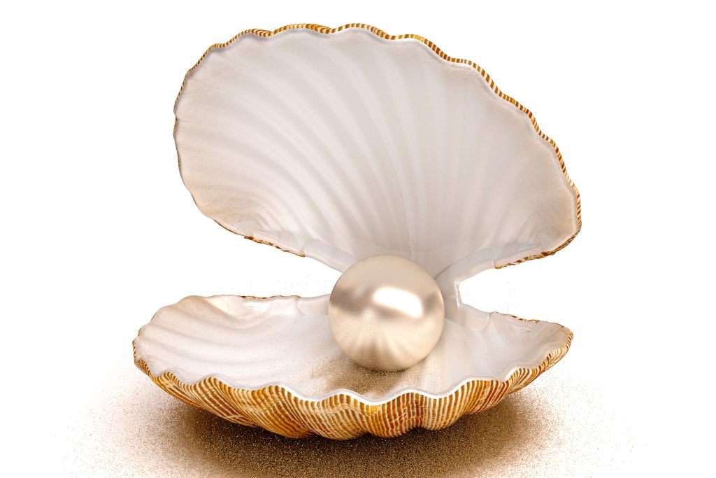 a pearl inside a sea shell