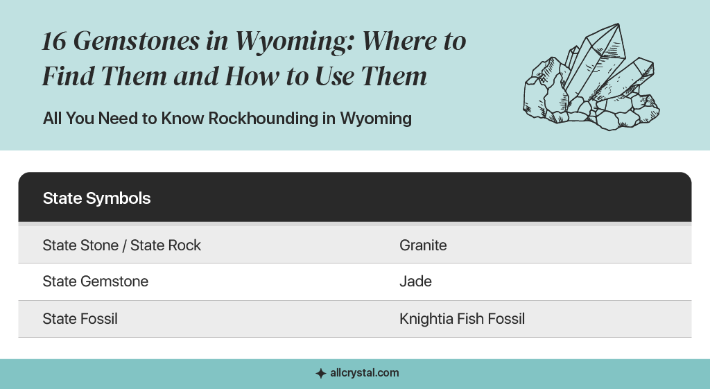 graphic table about state information for Wyoming 