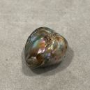 Abalone Pearl on a gray background. Source: Etsy | thepearlcollector