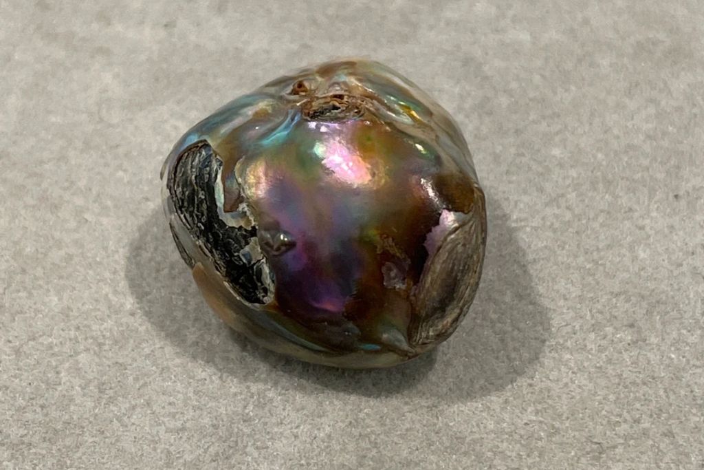 Abalone Pearl on a gray background. Source: Etsy | thepearlcollector