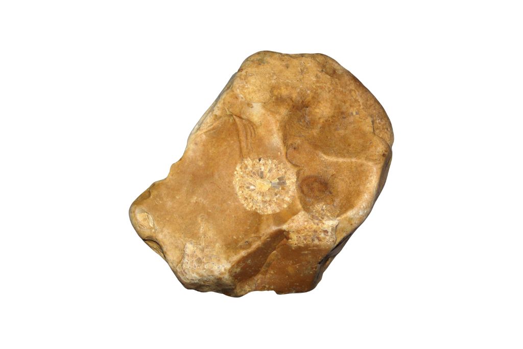 A Chert crystal on a white background. Source: Flickr | James St. John