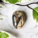 Polished Silver Leaf Jasper on a white marble table surrounded by leaves