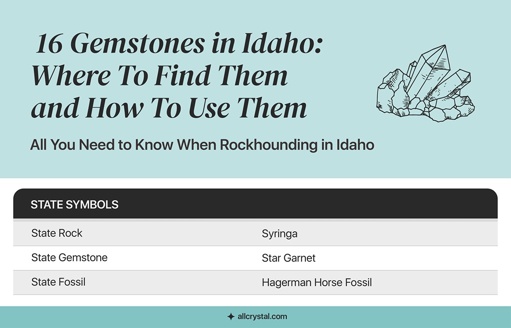 graphic table about state symbol of Idaho