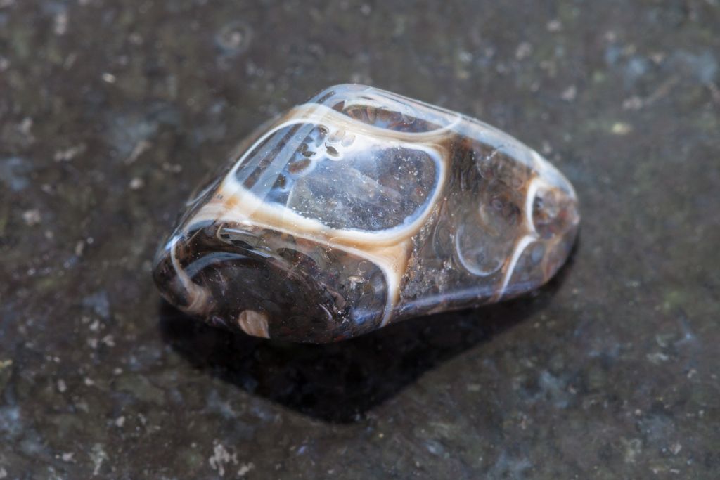 turitella agate on granite platform