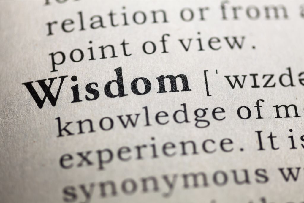 wisdom close up from a dictionary