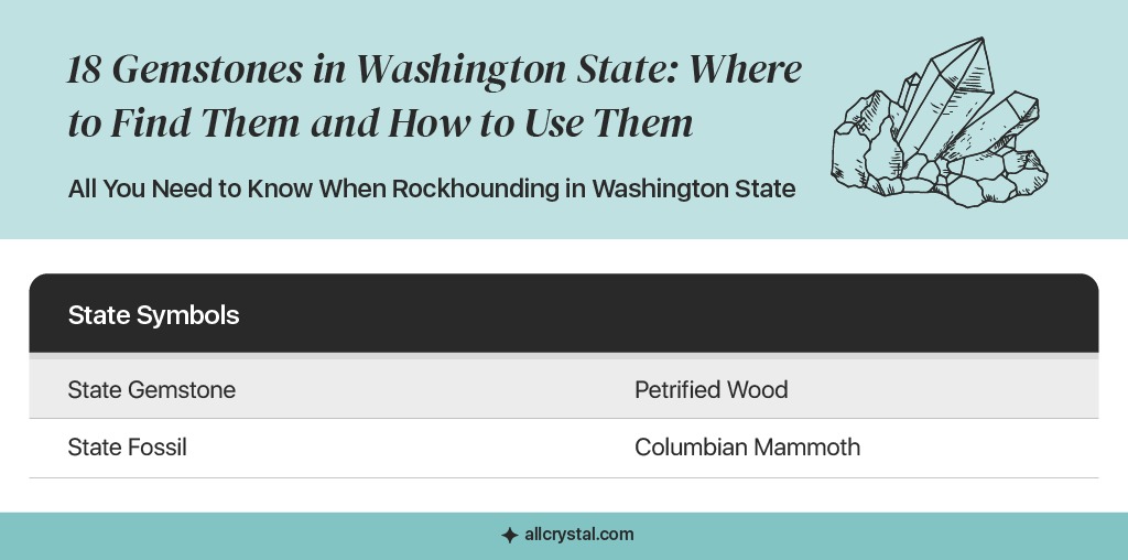 graphic table about state information for Washington State