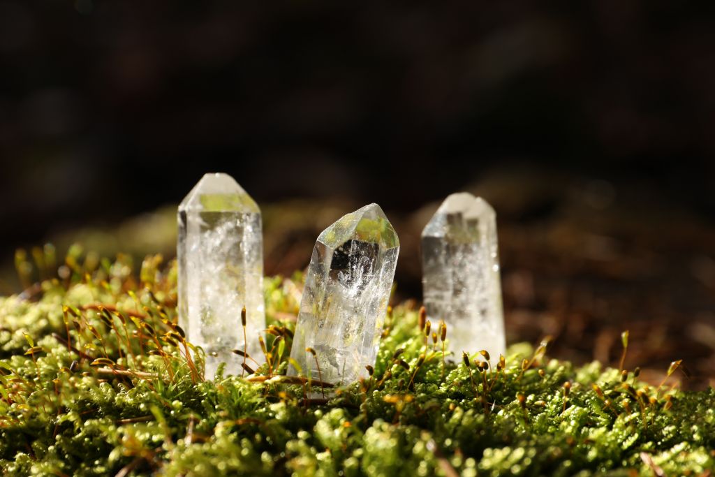 Clear Quartz on the green moss ground.