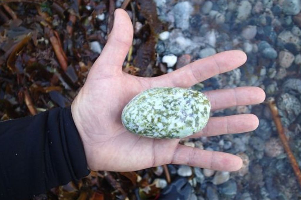 Iona Marble on the hand