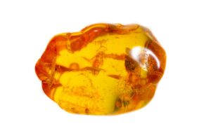baltic amber on white background