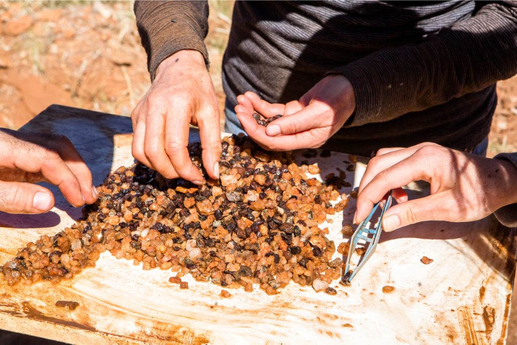 raw garnet stones being scrutinized by rockhounders