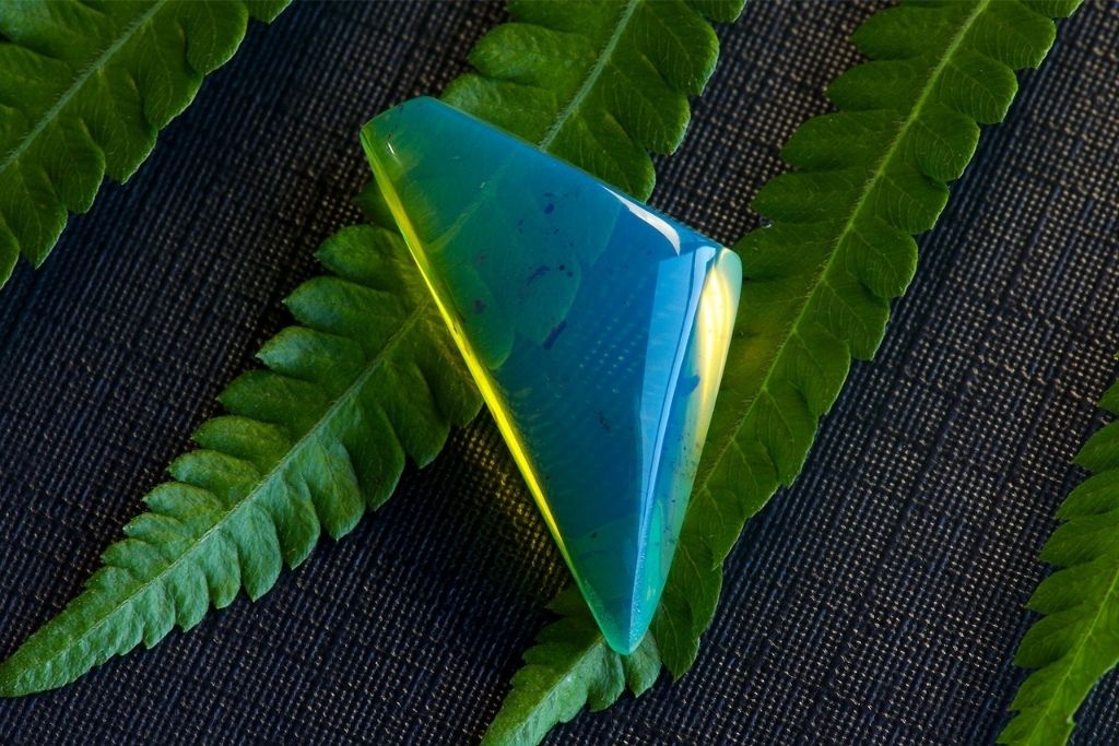 Blue Amber on leaf