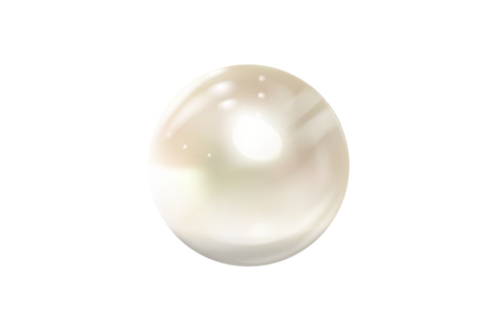 akoya pearl on white background