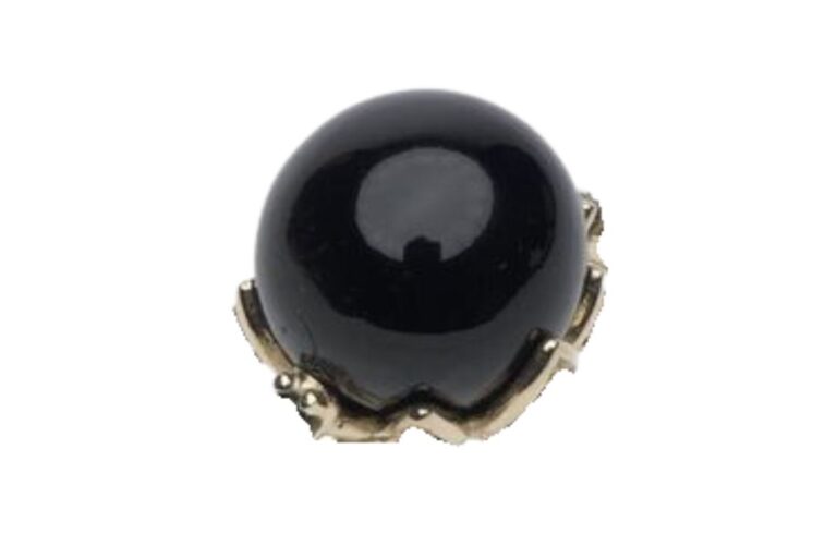 Black Coral Meaning, Properties, and Benefits You Should Know