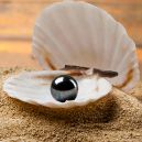 black pearl on top of white shell situated on white sand
