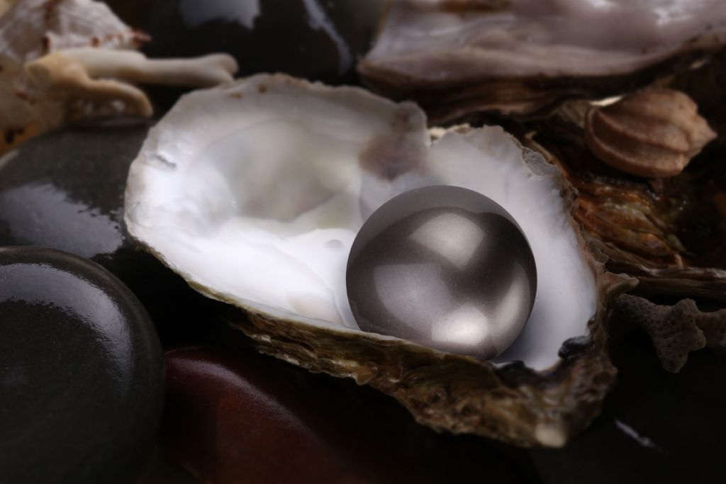 black shiny pearl on top of an opened shell