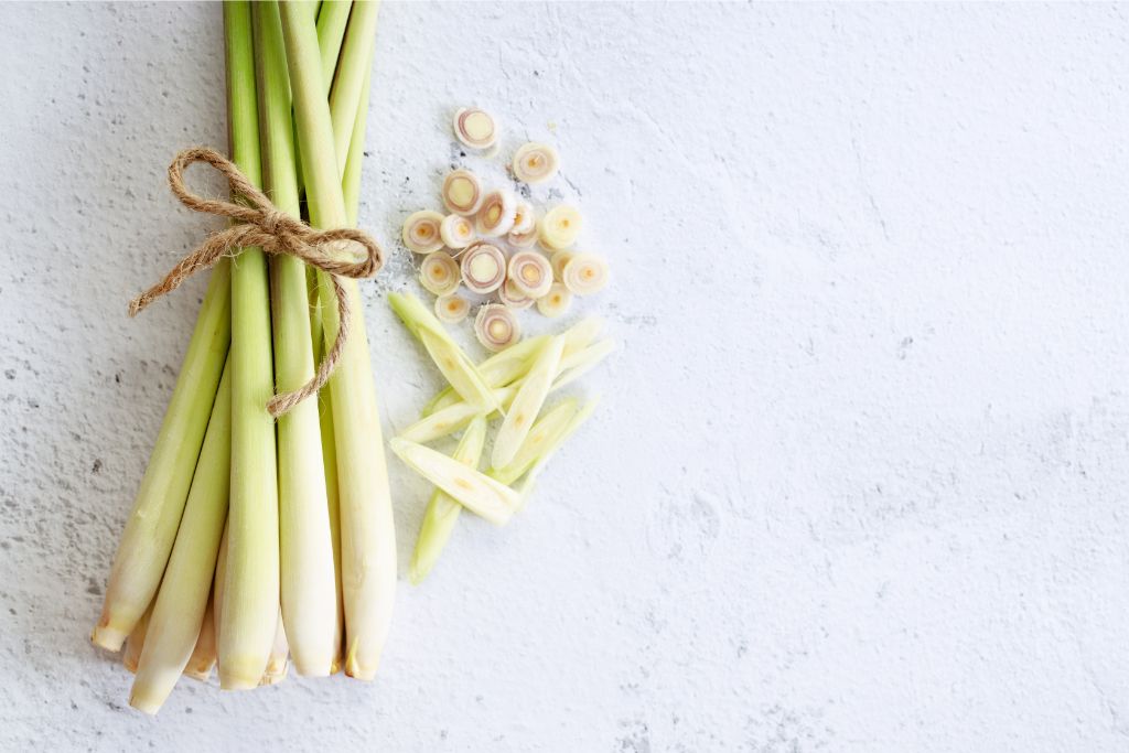 lemongrass on concrete