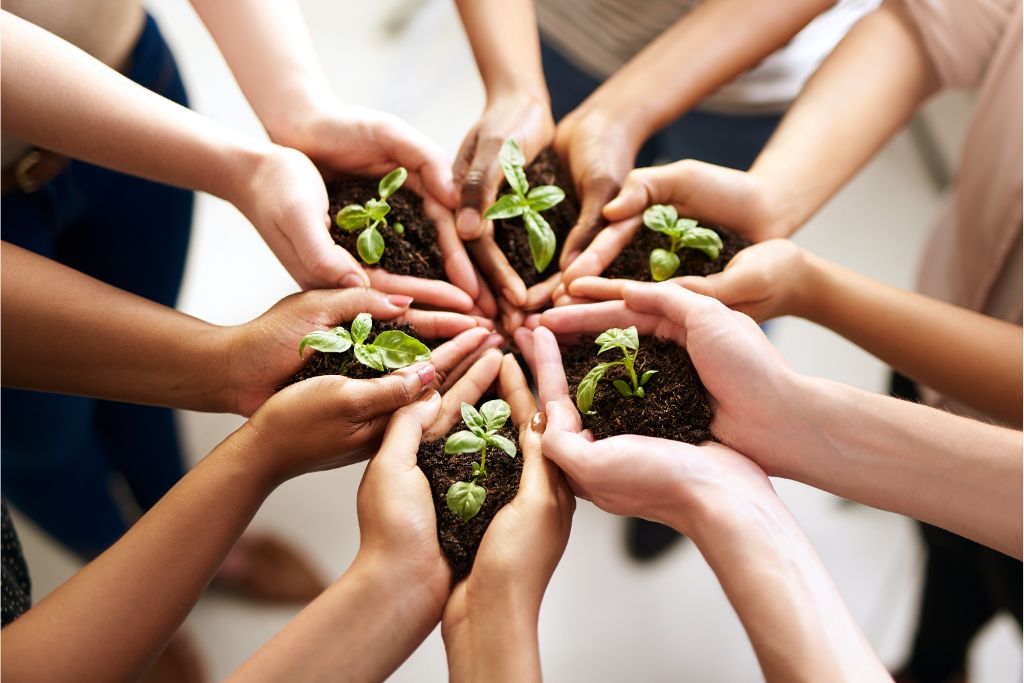 numerous hands holding small plants depicting prosperity