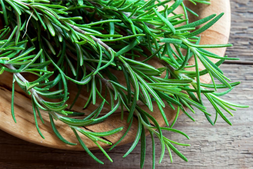 rosemary on a wooden plate