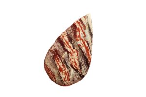 Bruneau Jasper on white background