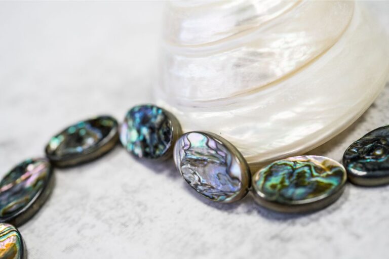 Abalone Shell Meaning, Properties, and Benefits