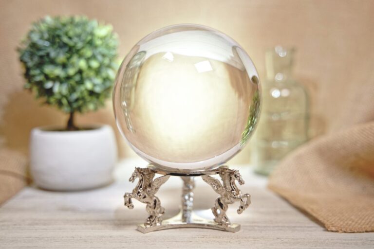 Crystal ball in the table with a little plant