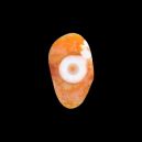 eye agate on dark background