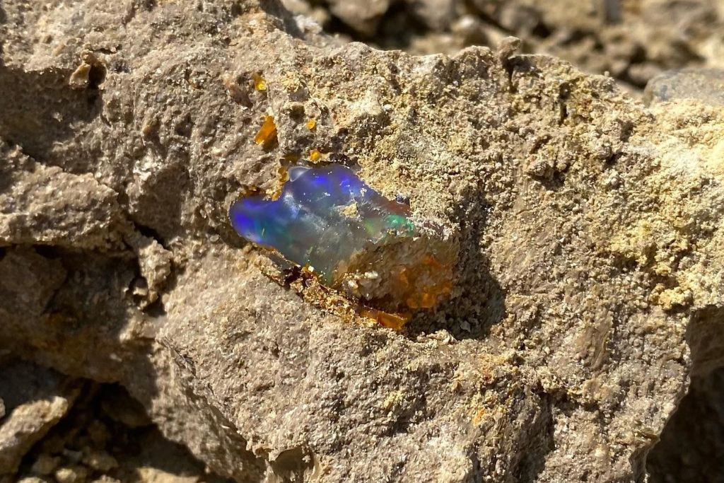 nevada opal burried under soil