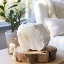 white petrified palm wood chunk on white background