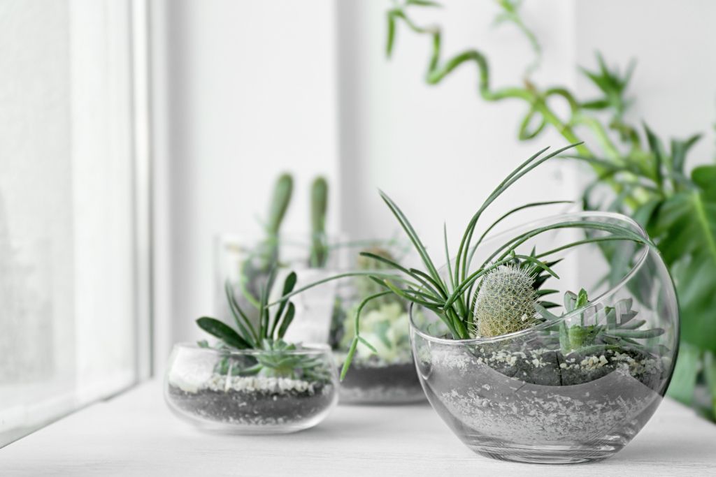 Crystal Terrarium on a table