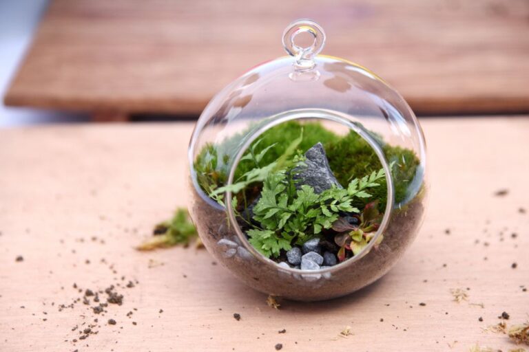 Crystal Terrariums in a table