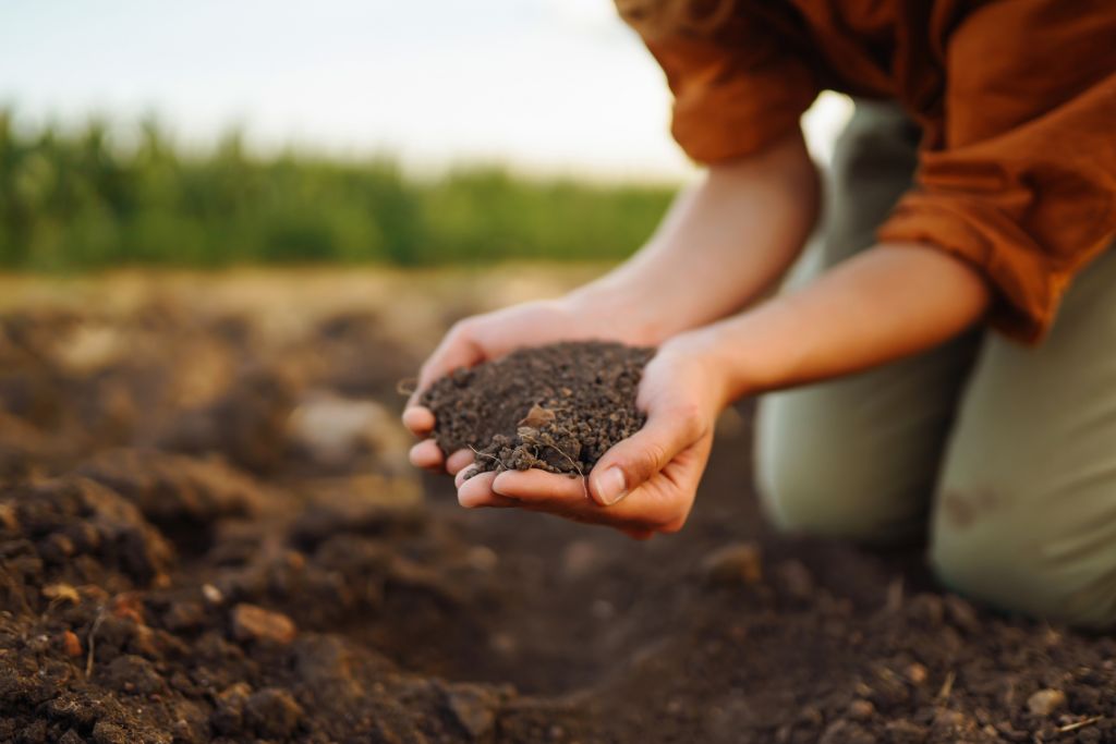 woman have soil on her hand