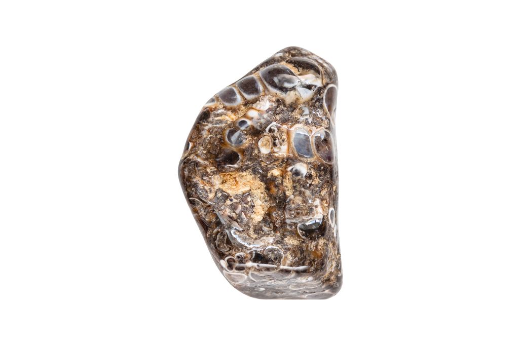 Turritella Agate with white background