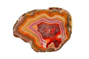 Condor-Agate-on-white-background