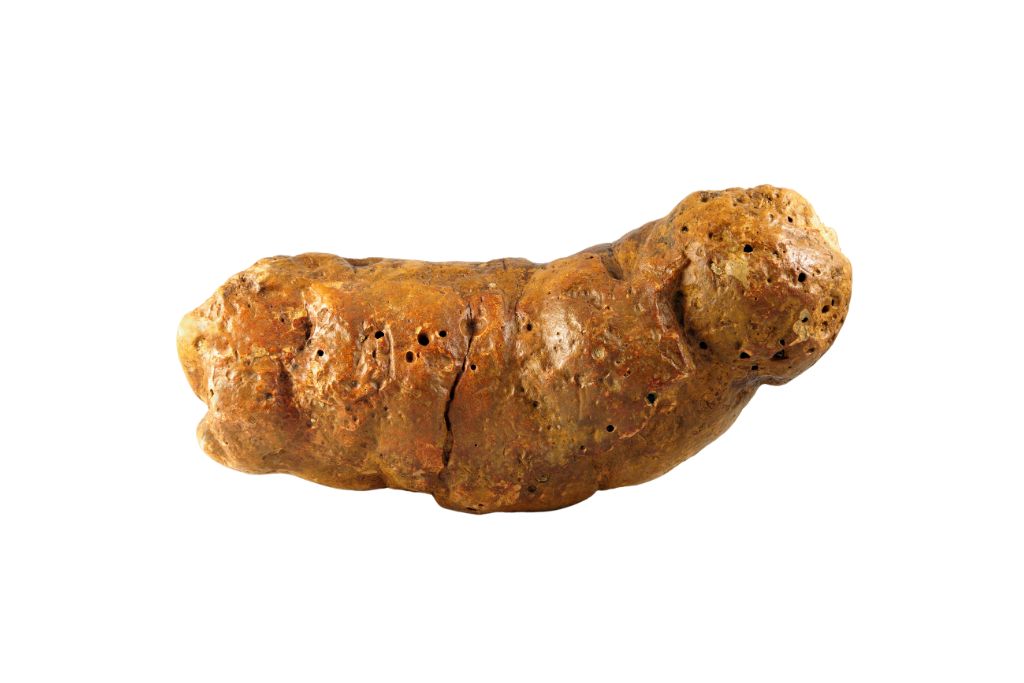 Coprolite on white background