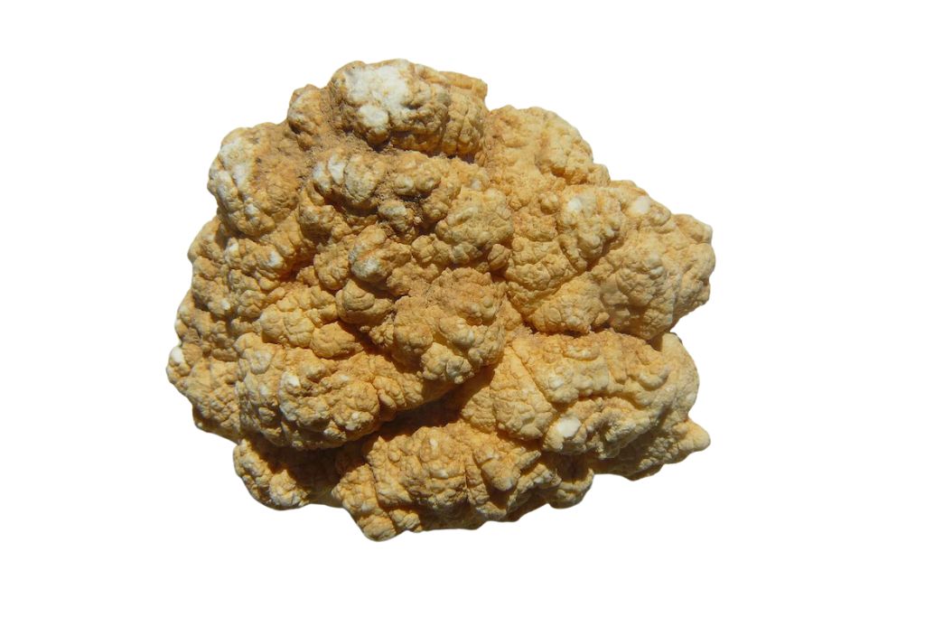 Howlite Nodules on a white background