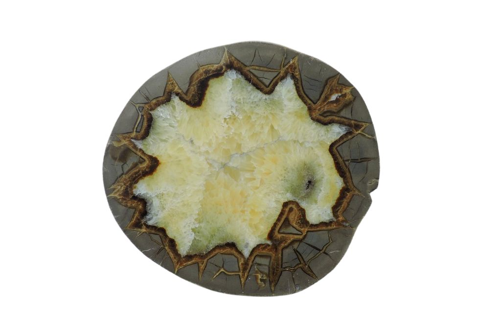 Septarian Nodule on a white background