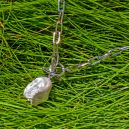 fresh water pearl on freshly cut grass