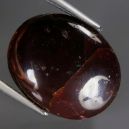 Tweezer with Star Garnet