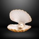 saltwater pearl on dark background