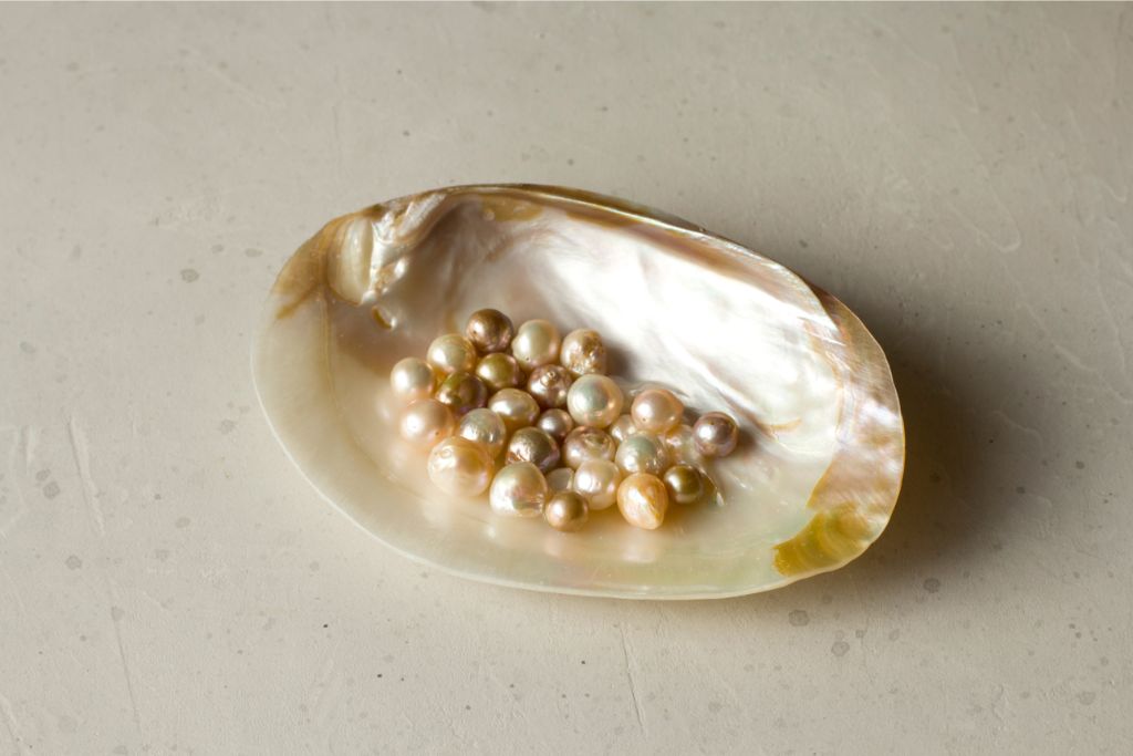 saltwater pearls situated on a white shell