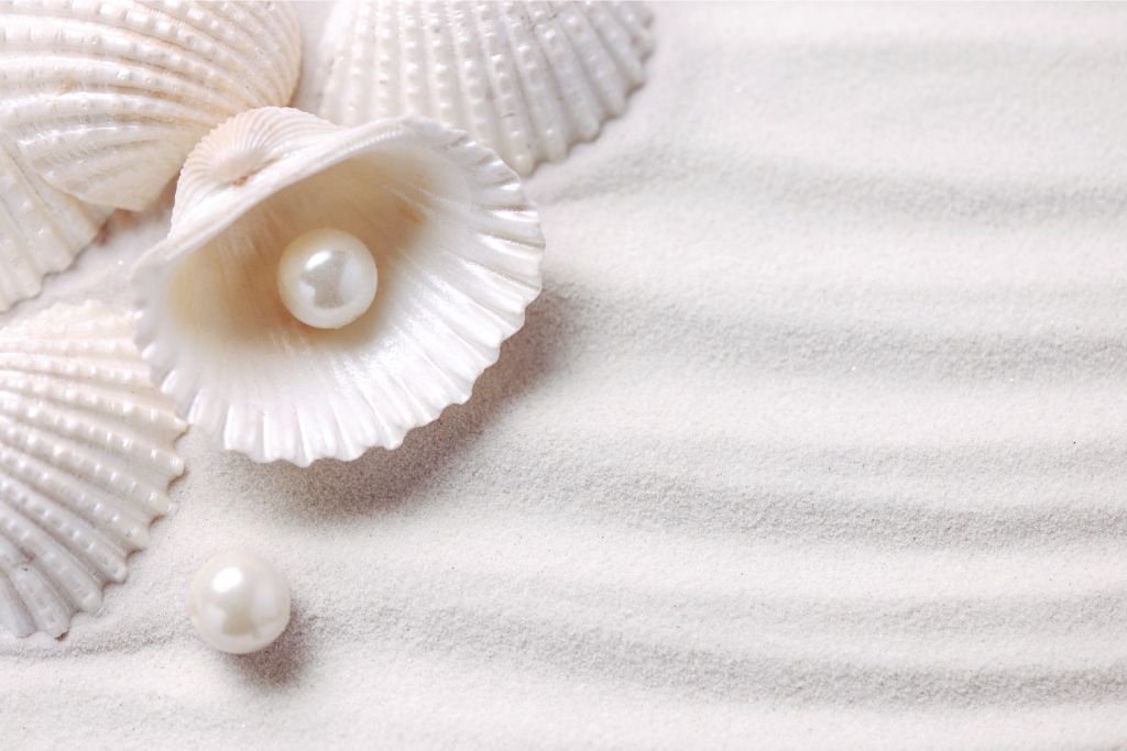 shell on pearls situated on white sand 