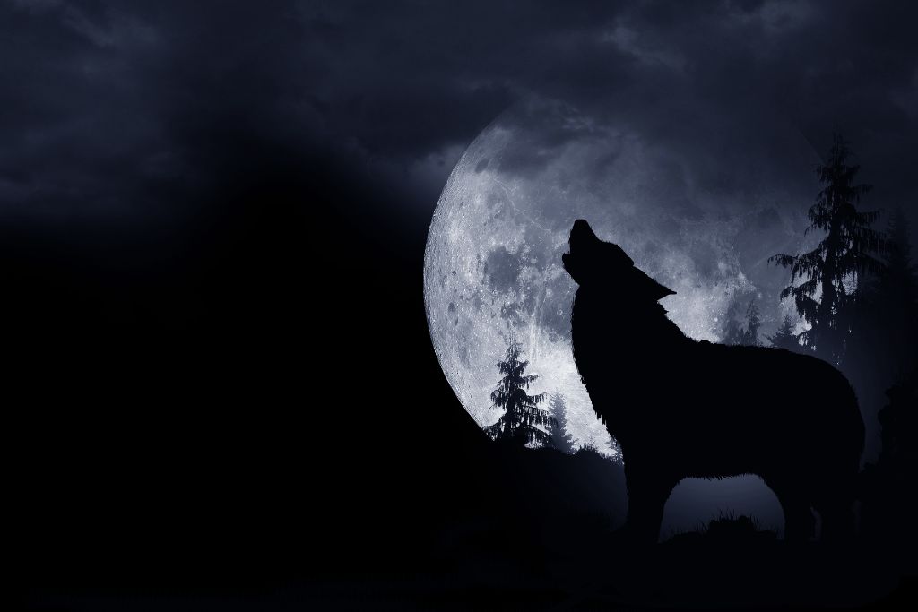 a howling wolf silhouette with a full moon background